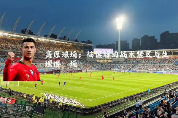 高原球场：被误解的战术禁区与生理博弈场